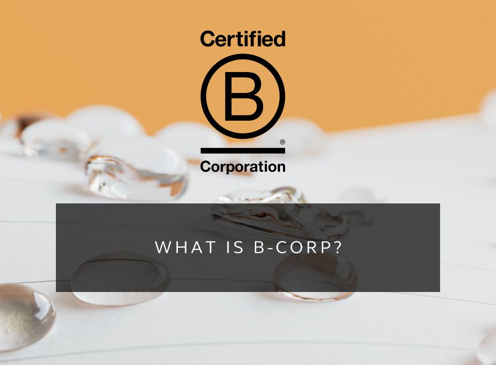 Why we love B-Corp brands and how to become one