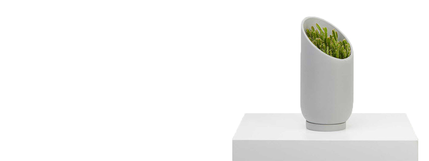 Get to Know the Brand: Capra Designs