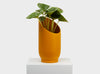 Large Summit Planter by Capra Designs. Golden with plant