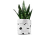 MOXON Shapes Canvas Bin with plant inside