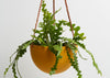 Capra Designs | Block Colour Dome Hanging Planter (RRP: £96 / Pack: 2)